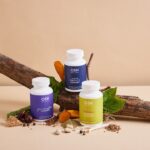 Shape Labs: Ist der Anbieter seriös?