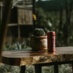 Coca Cola Skandal: Ein Blick auf die Vorwürfe