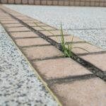 Der Gute Fund: Fugen Clean, seriös oder nicht?