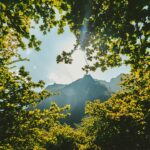 Ausverkauf der Natur: Wie Massentourismus den Schwarzwald und seine Wanderwege bedroht
