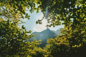Ausverkauf der Natur: Wie Massentourismus den Schwarzwald und seine Wanderwege bedroht