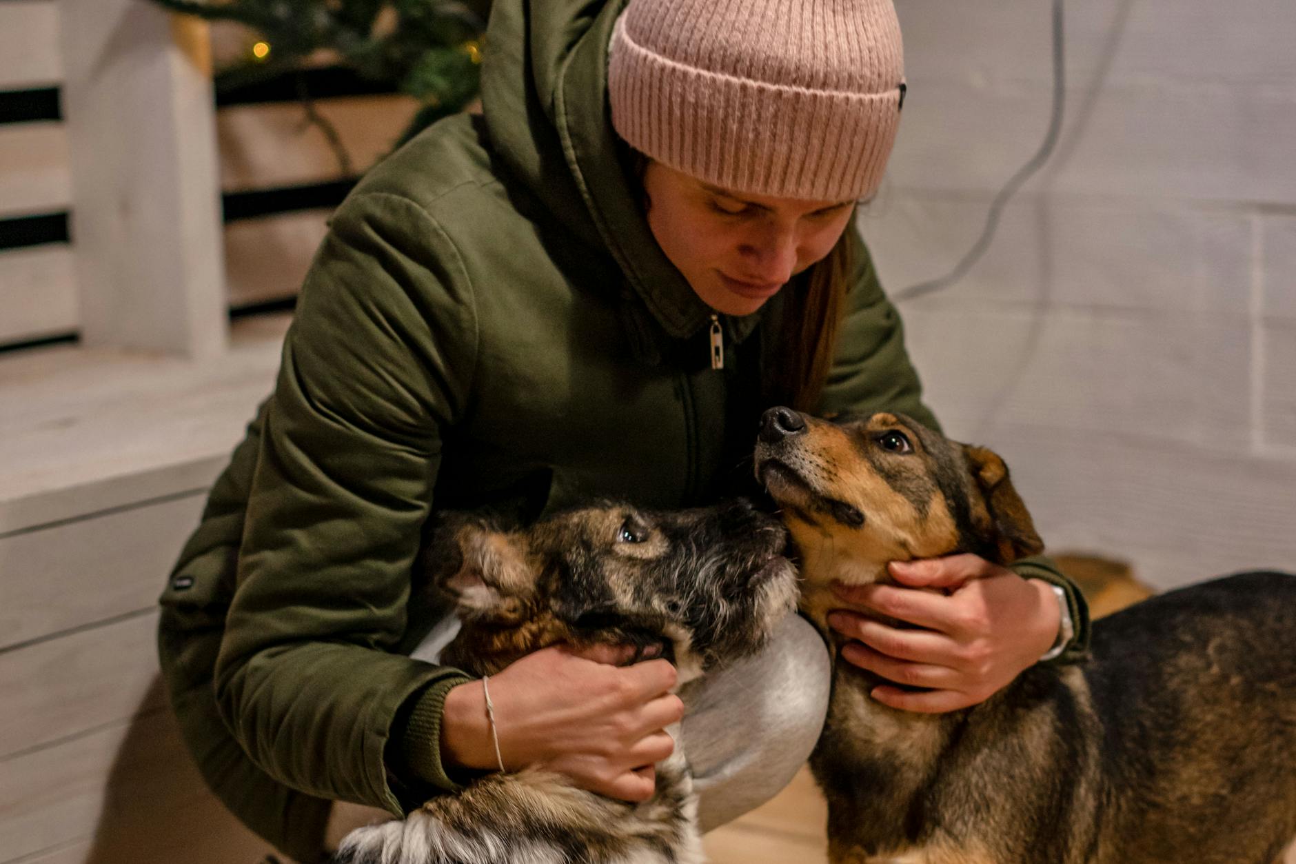 Warm winter snuggle with woman in beanie and her two cuddly dogs.