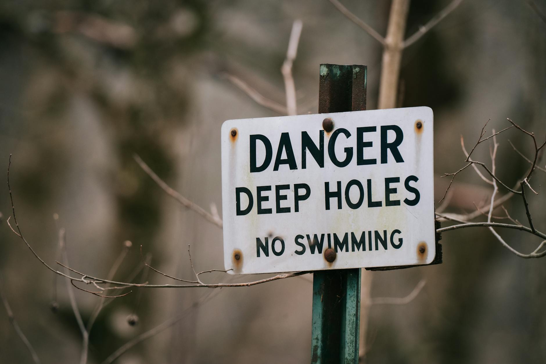 Close-up of a warning sign against swimming due to deep holes, surrounded by dry branches.